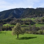 Aussicht nach Norden